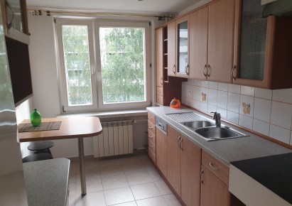 apartment for rent - Kraków, Bieżanów-Prokocim, Rżąka, Ludwika Rydygiera