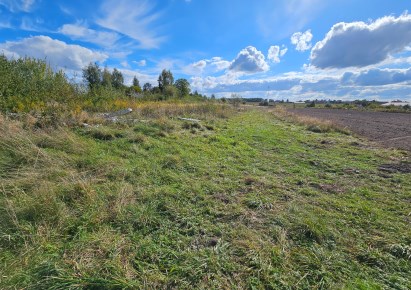 działka na sprzedaż - Skała (gw), Cianowice Duże, Do Cegielni